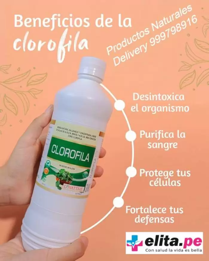 Clorofila liquida bebida natural extracto 600ml en Lima